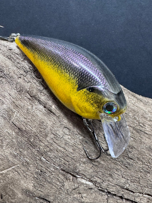 1.5 square bill crank bait 4-8 ft Dive