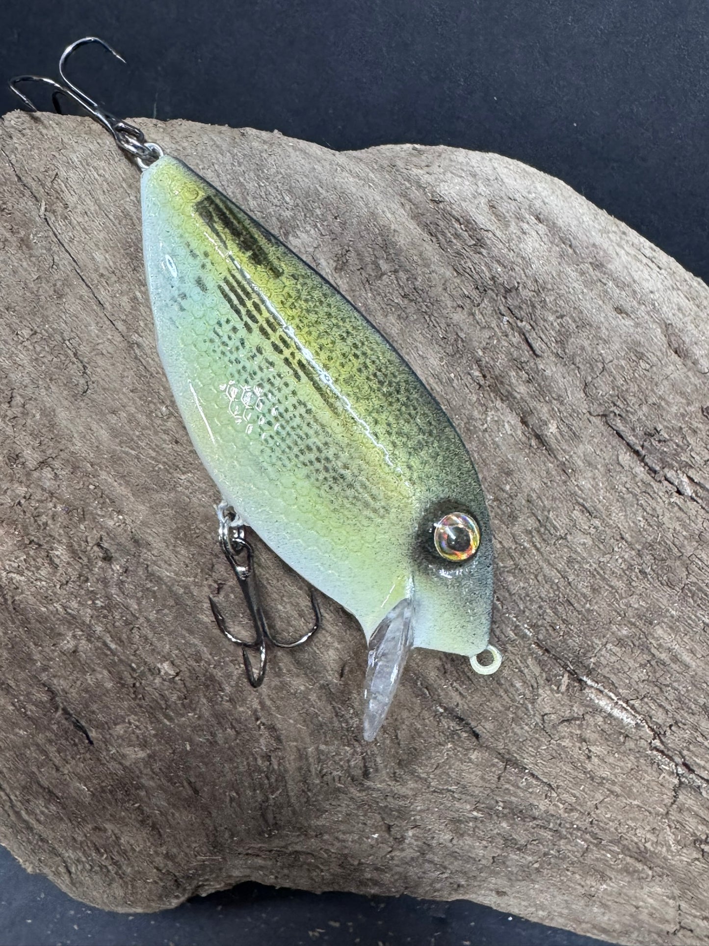 Slim Boy Crank Bait 2-6 ft Dive