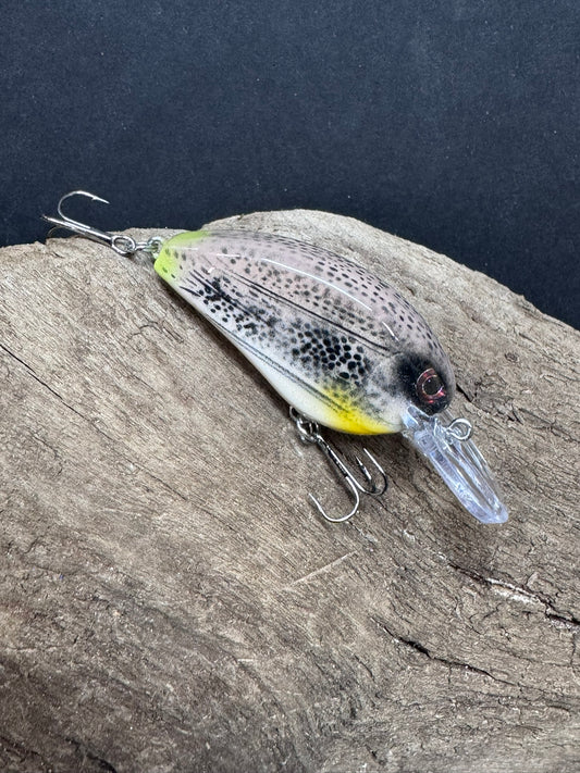 Fast Action Crank Bait 6-10 Dive