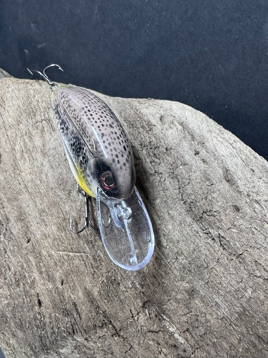 Fast Action Crank Bait 6-10 Dive