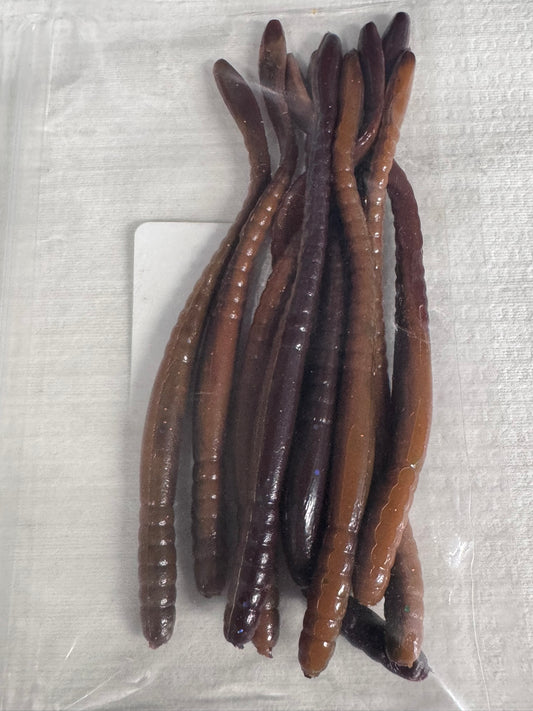6" Trick Worm Soft Plastic 1Bag qty10 (Earth Worm Color)
