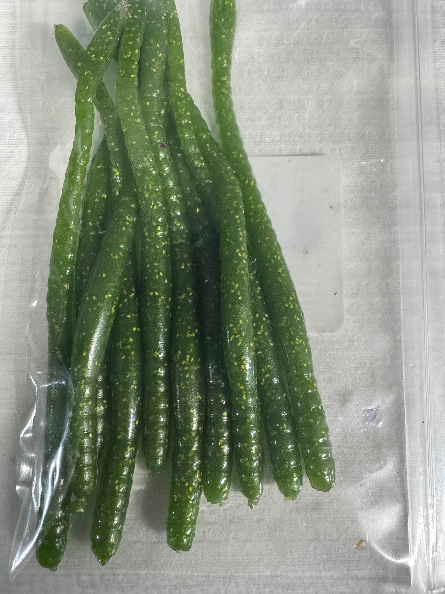 6" Trick Worm Soft Plastic 1Bag qty10 (Angry Green)