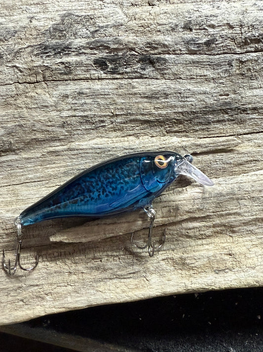 Blue Berry Shad Fast Action 4-8 Feet Dive