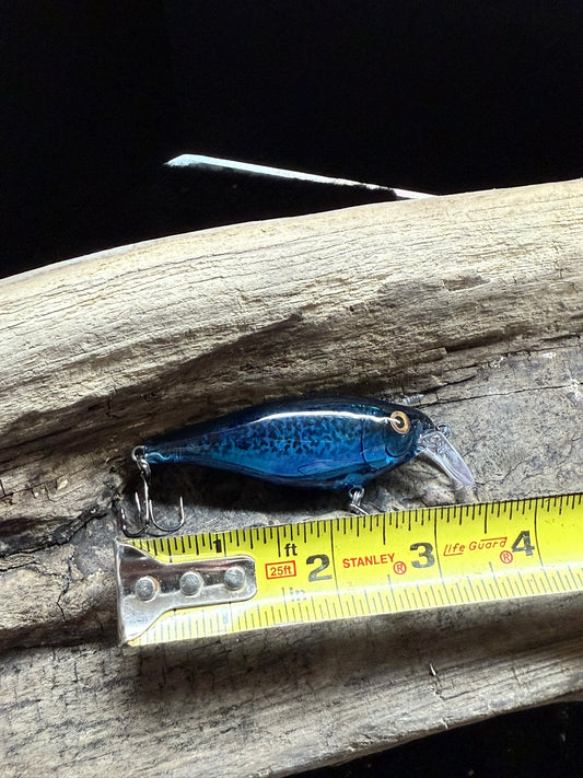 Blue Berry Shad Fast Action 4-8 Feet Dive