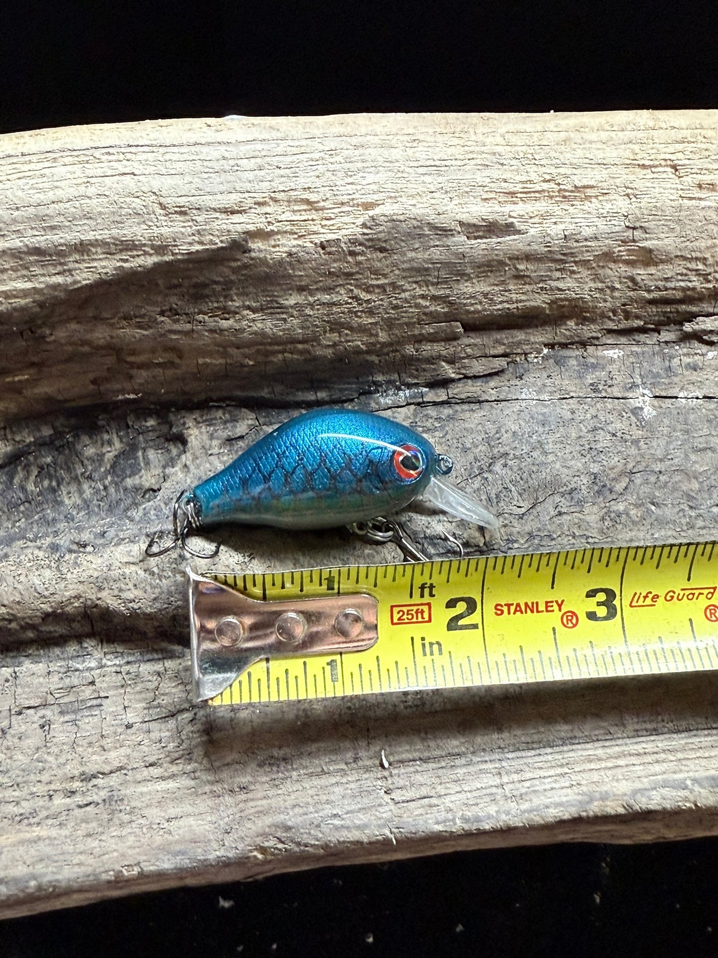 Blue Berry Buzz