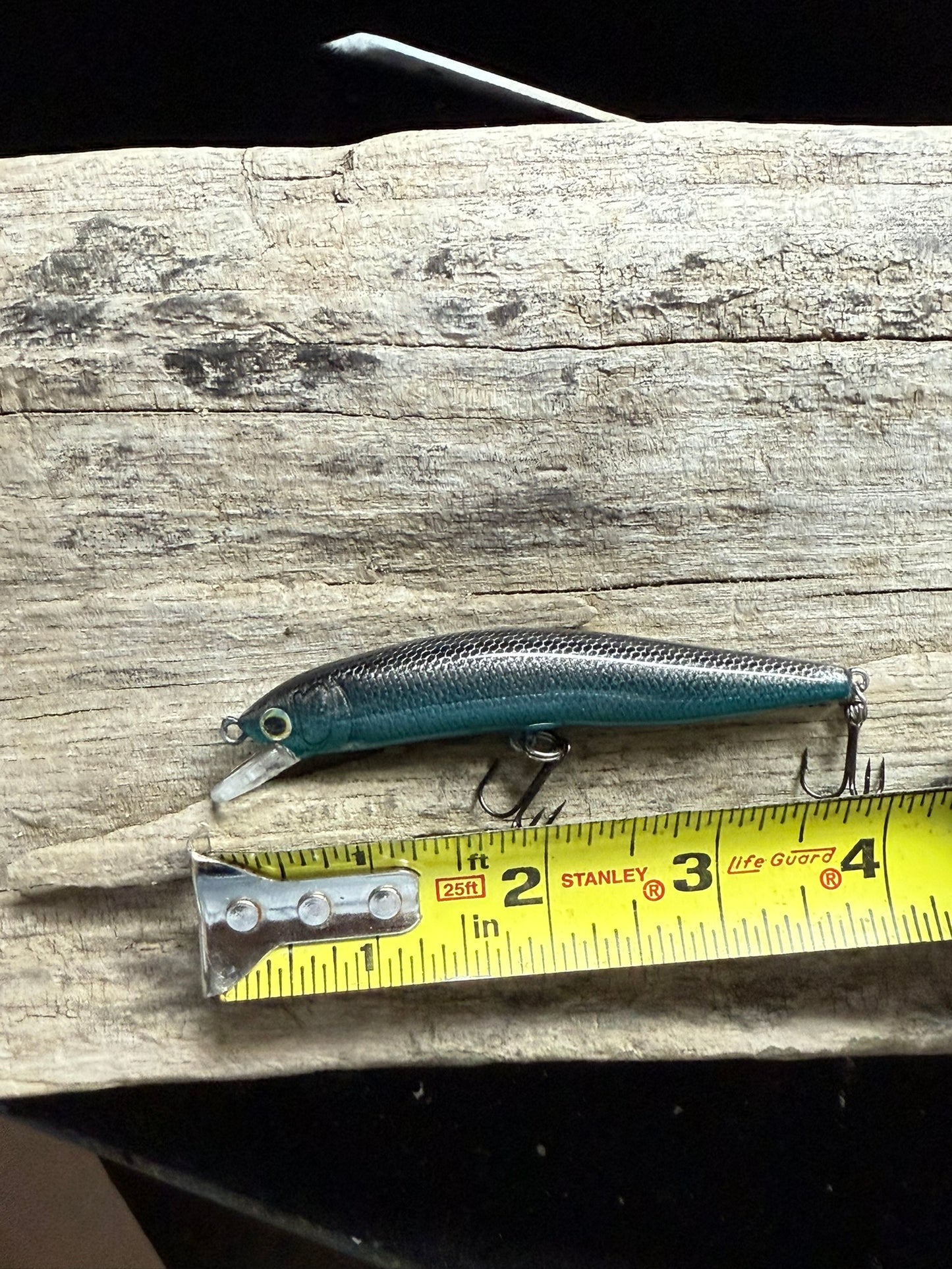 Polar Ice Jerk Bait 4-6 Feet Dive