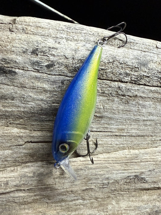 Blue Angle 4-8 Feet Dive