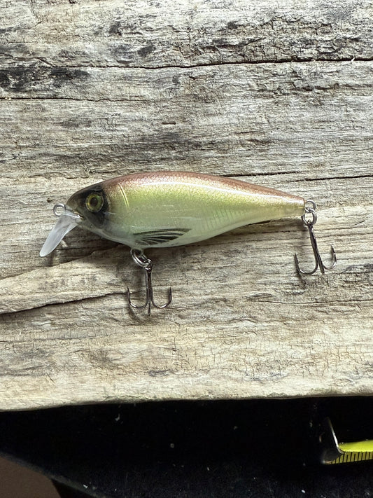 Sar Dean 4-6 Feet Dive Jerk Bait