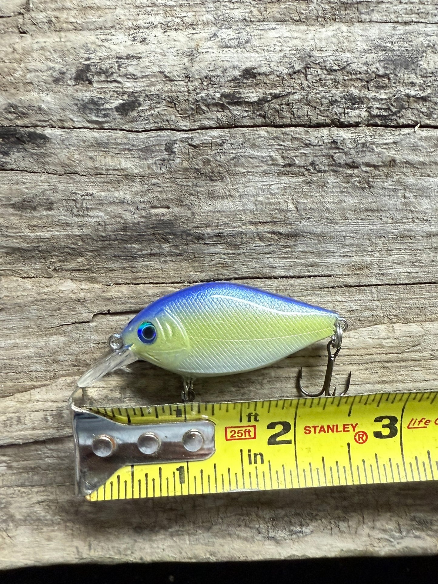 Sweet Lips Crank Bait 4-6 Feet Dive