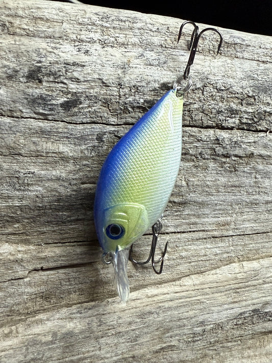 Sweet Lips Crank Bait 4-6 Feet Dive