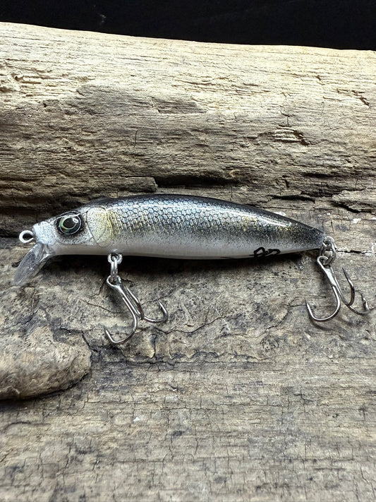 Sapphire Shiner