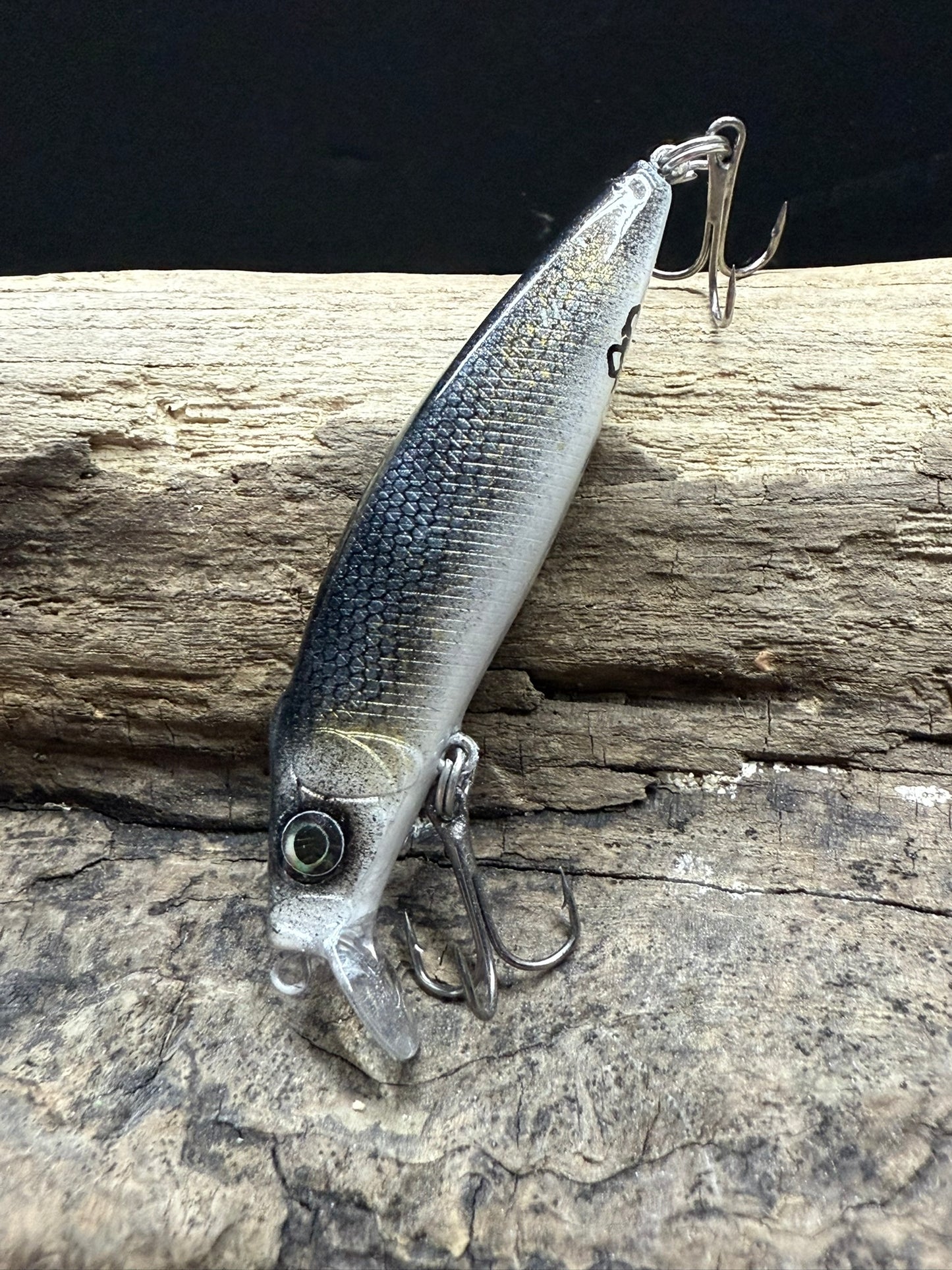Sapphire Shiner