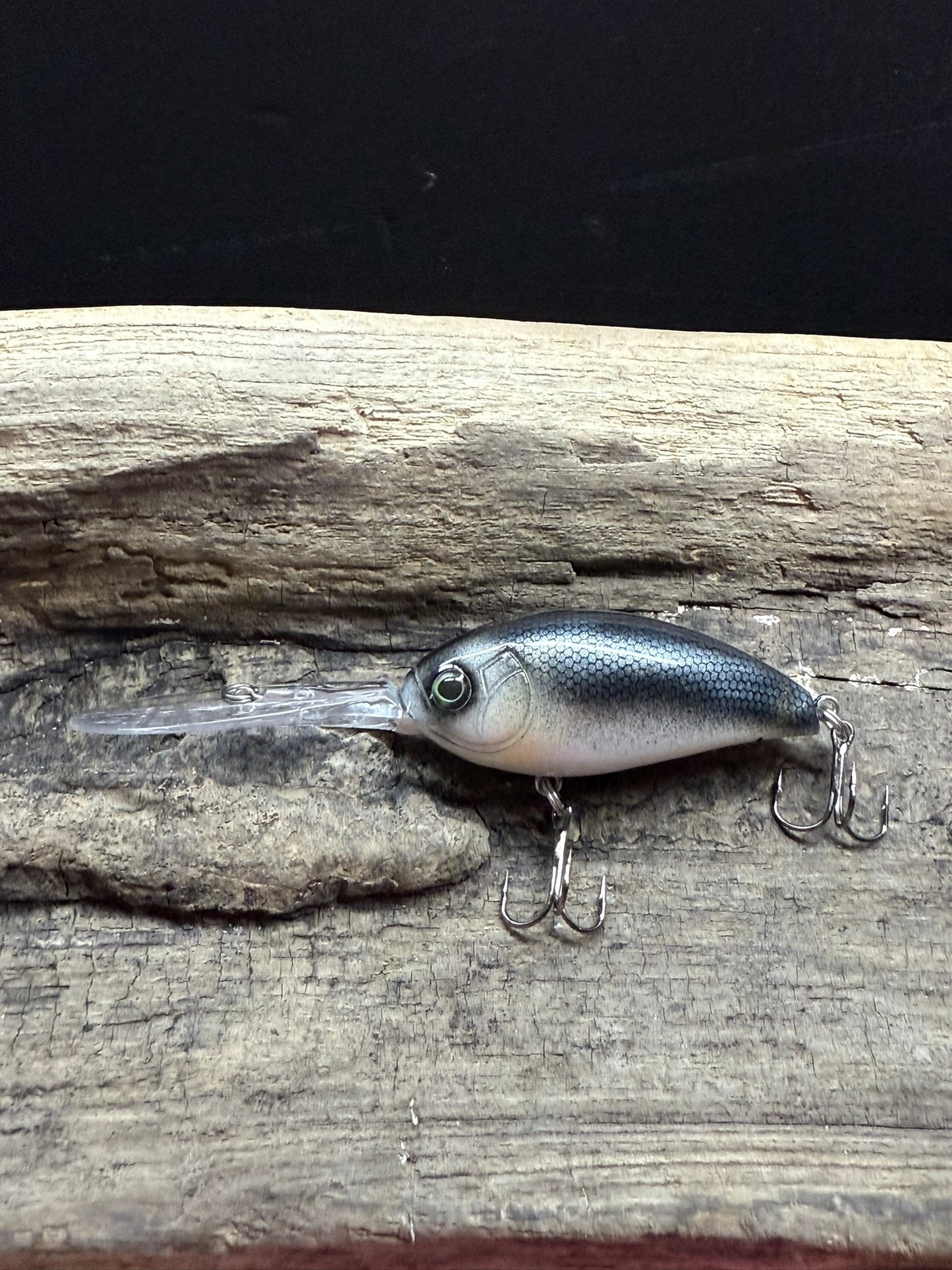 Lanier Minnow