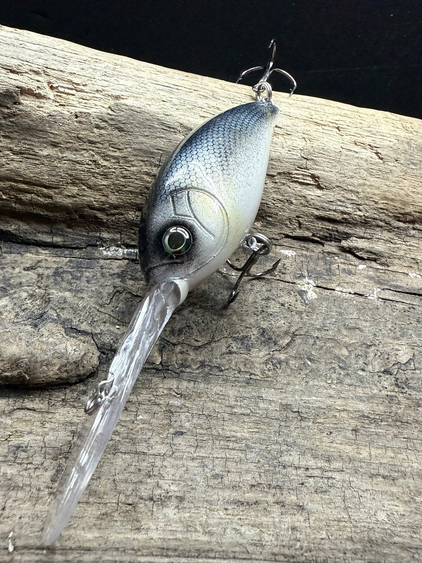 Lanier Minnow