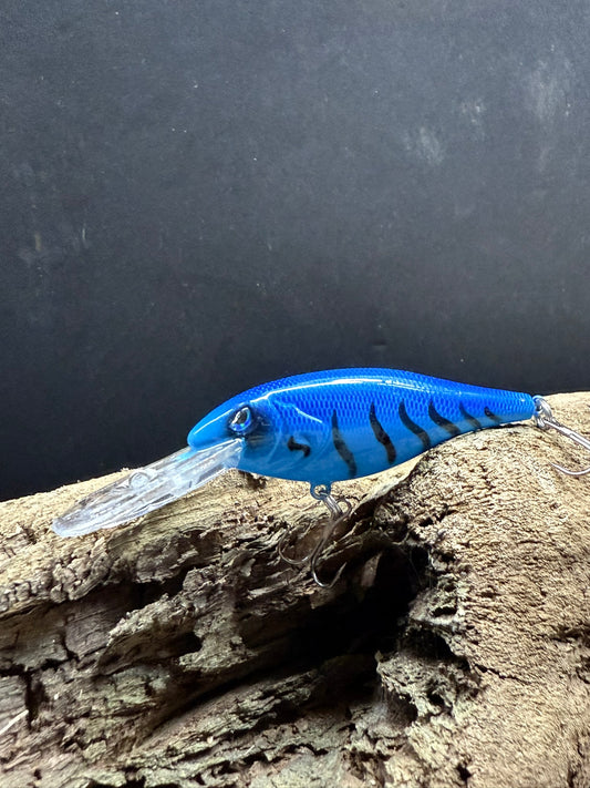 Aqua Spark 6-10 Feet Dive