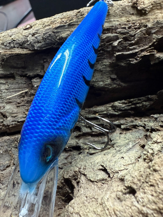 Aqua Spark 6-10 Feet Dive