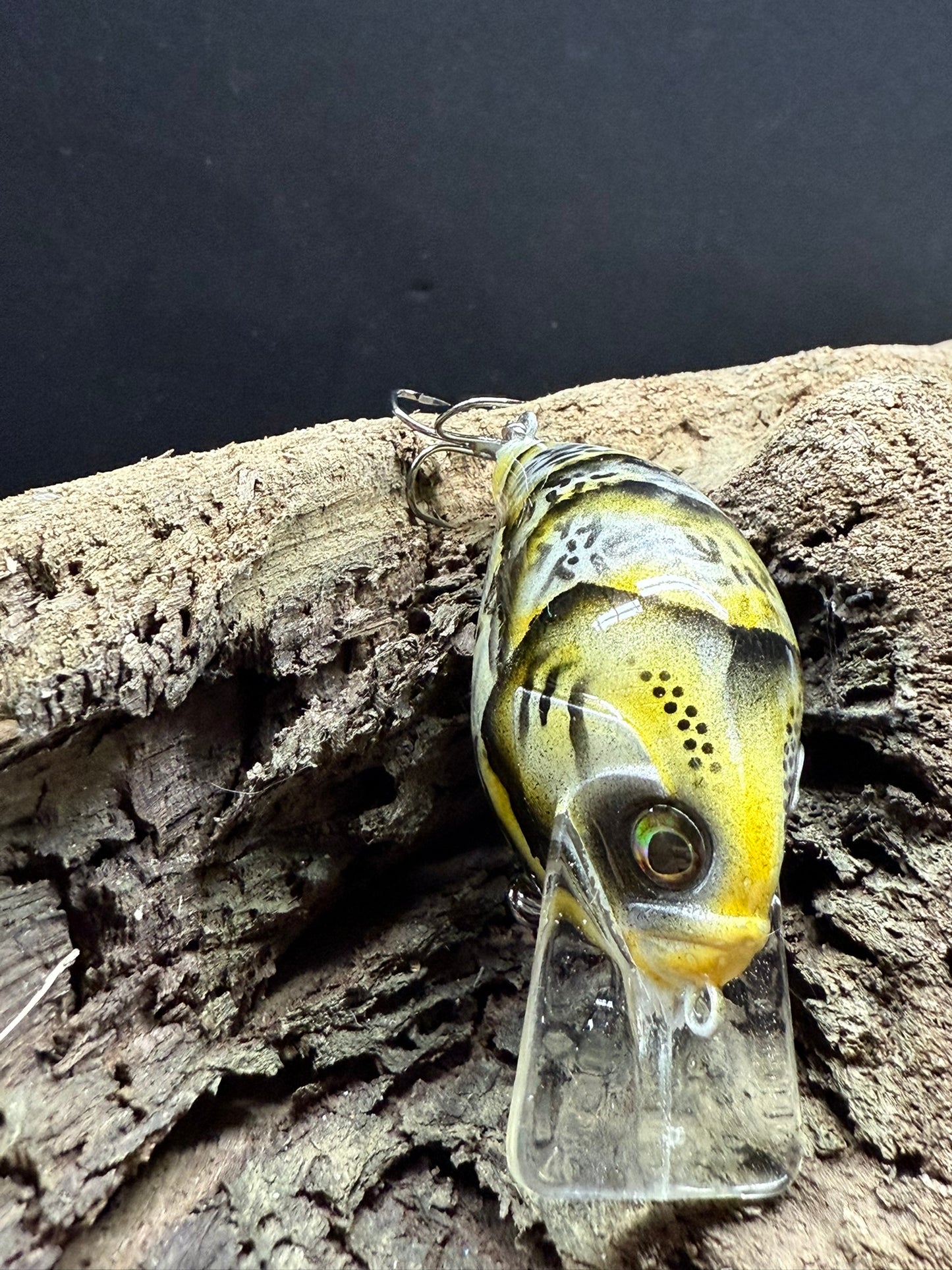 Night Wasp Craw 4-6 Feet Dive