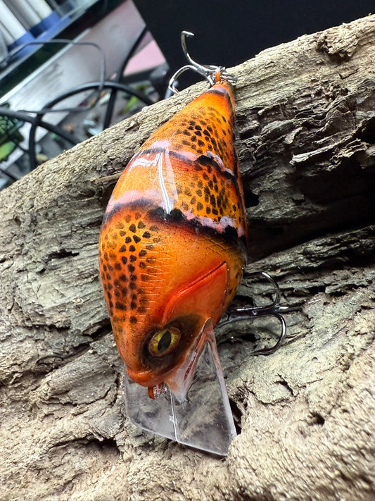 Inferno Craw 4-6 Feet Dive