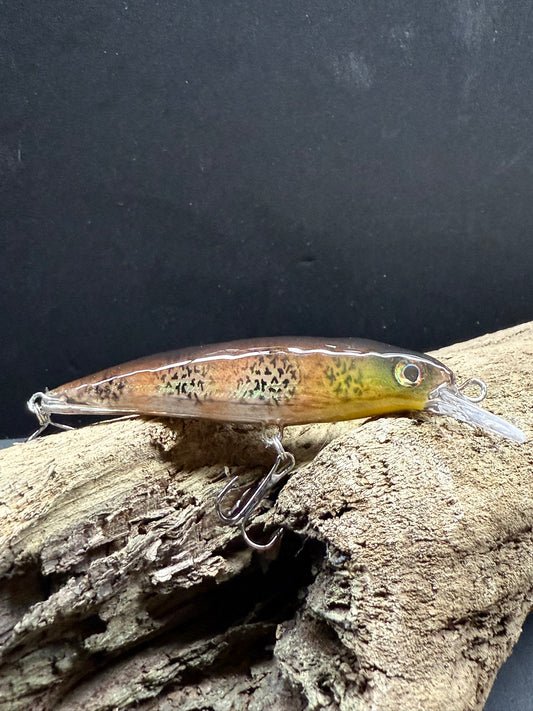 Bass Thorn 4-6 Feet Dive