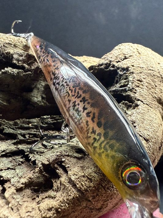 Bass Thorn 4-6 Feet Dive