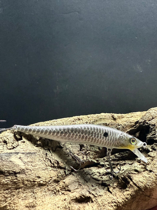 Bass Candy 4-6 Feet Dive