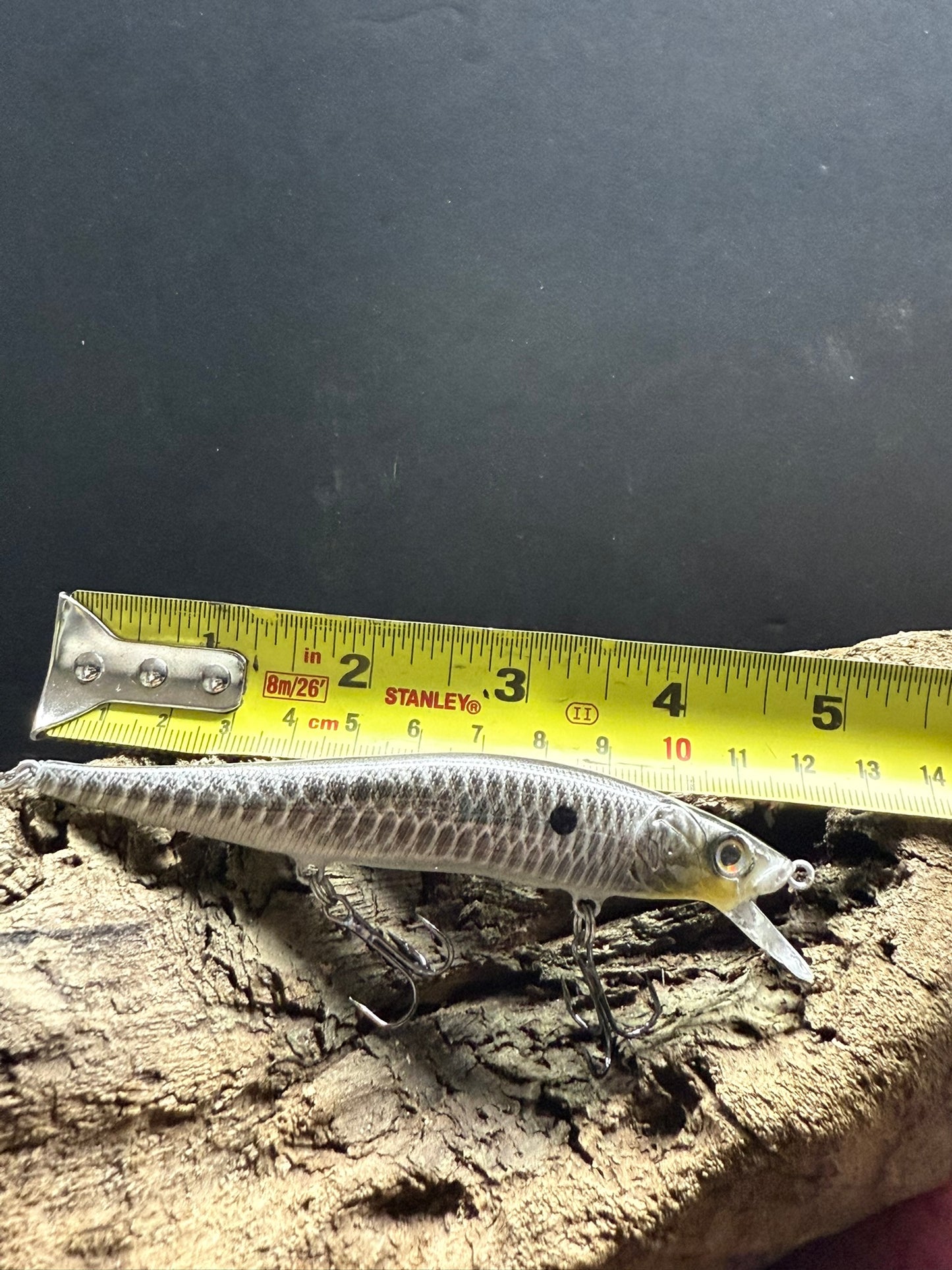 Bass Candy 4-6 Feet Dive