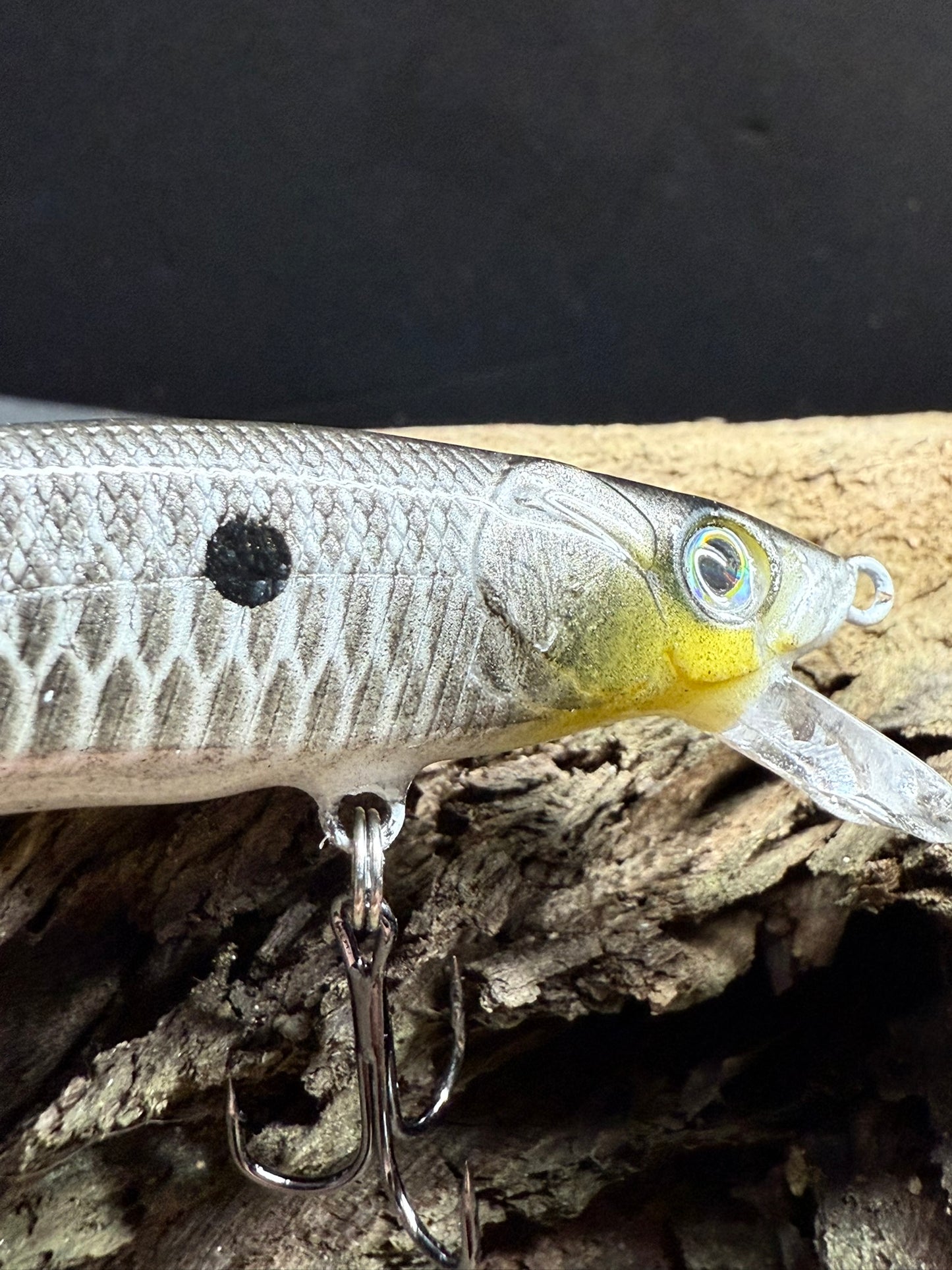 Bass Candy 4-6 Feet Dive