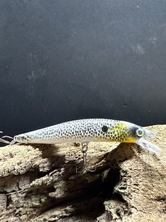 Just Jerking 4-6 Feet Dive