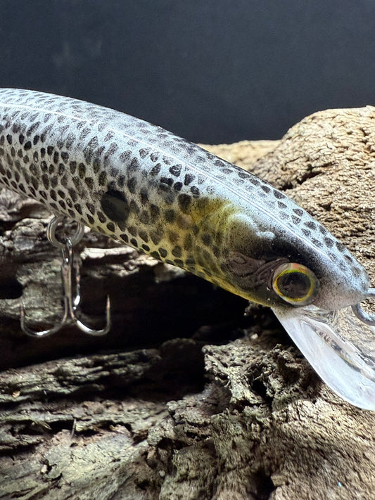 Just Jerking 4-6 Feet Dive