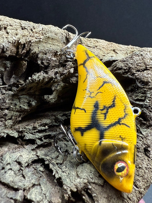 Orange Ripper lipless