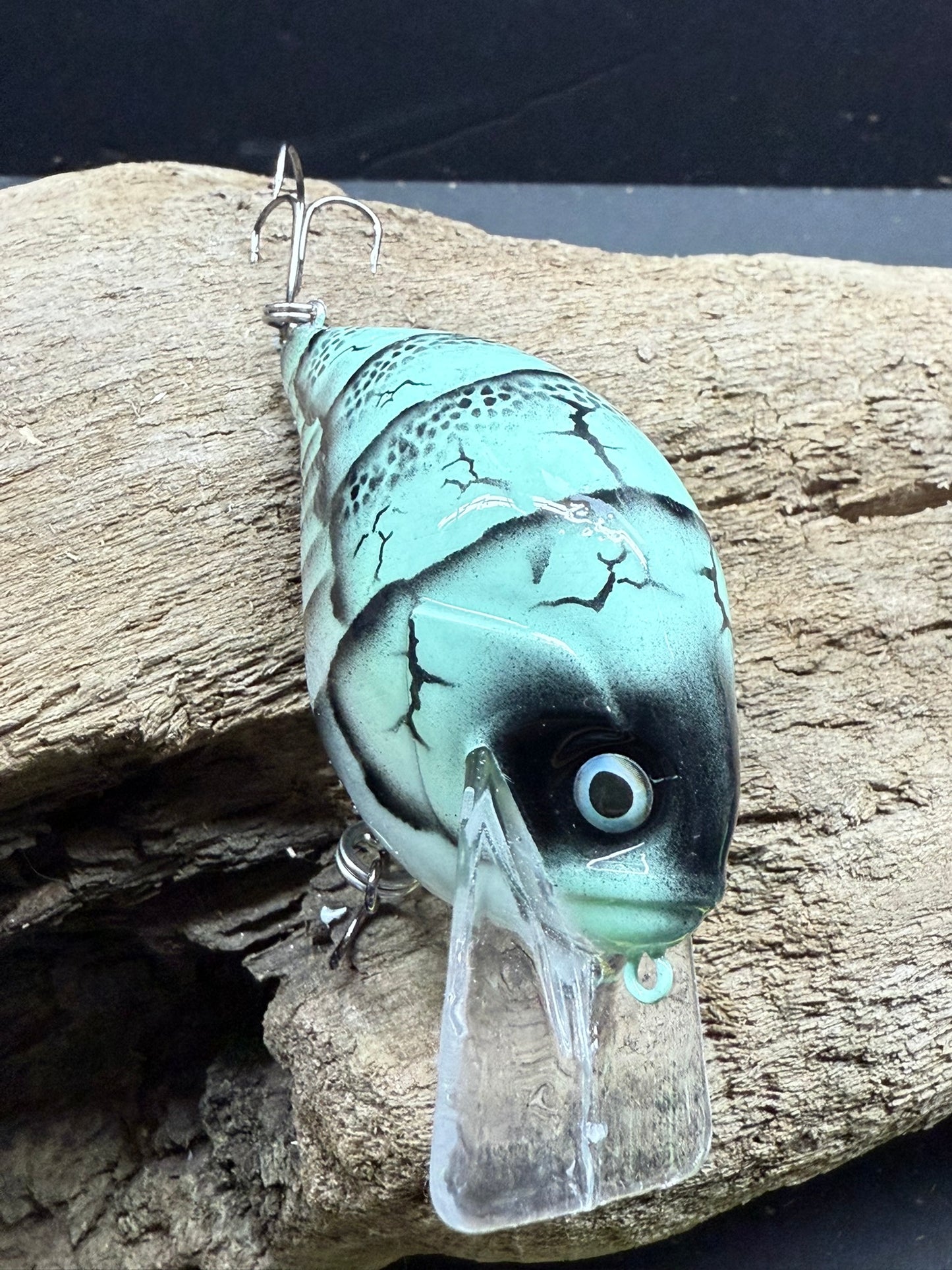 Grand Paw Craw 2.0 4-8 Feet Dive