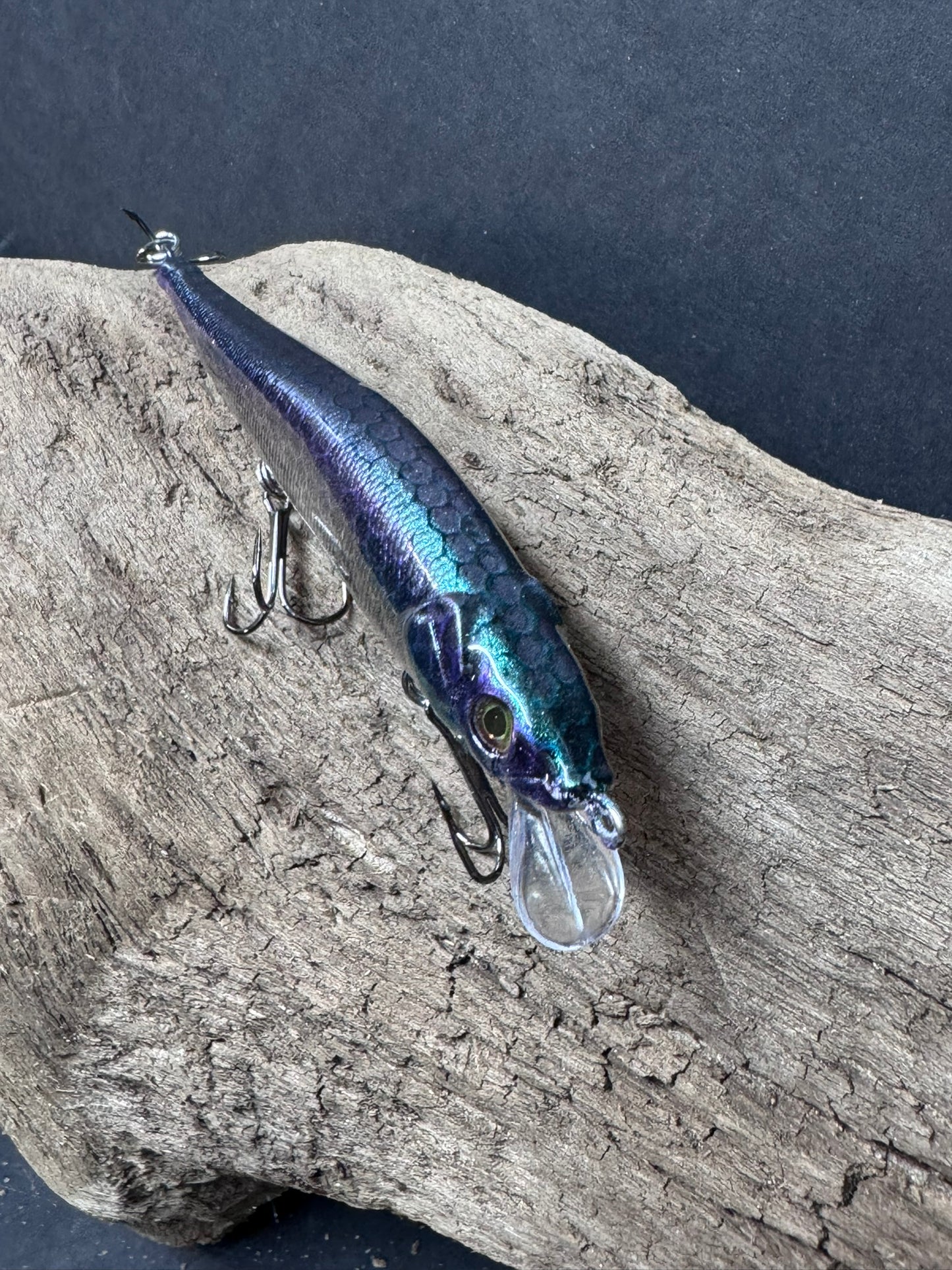 MEGA 110 4-6 ft dive BL