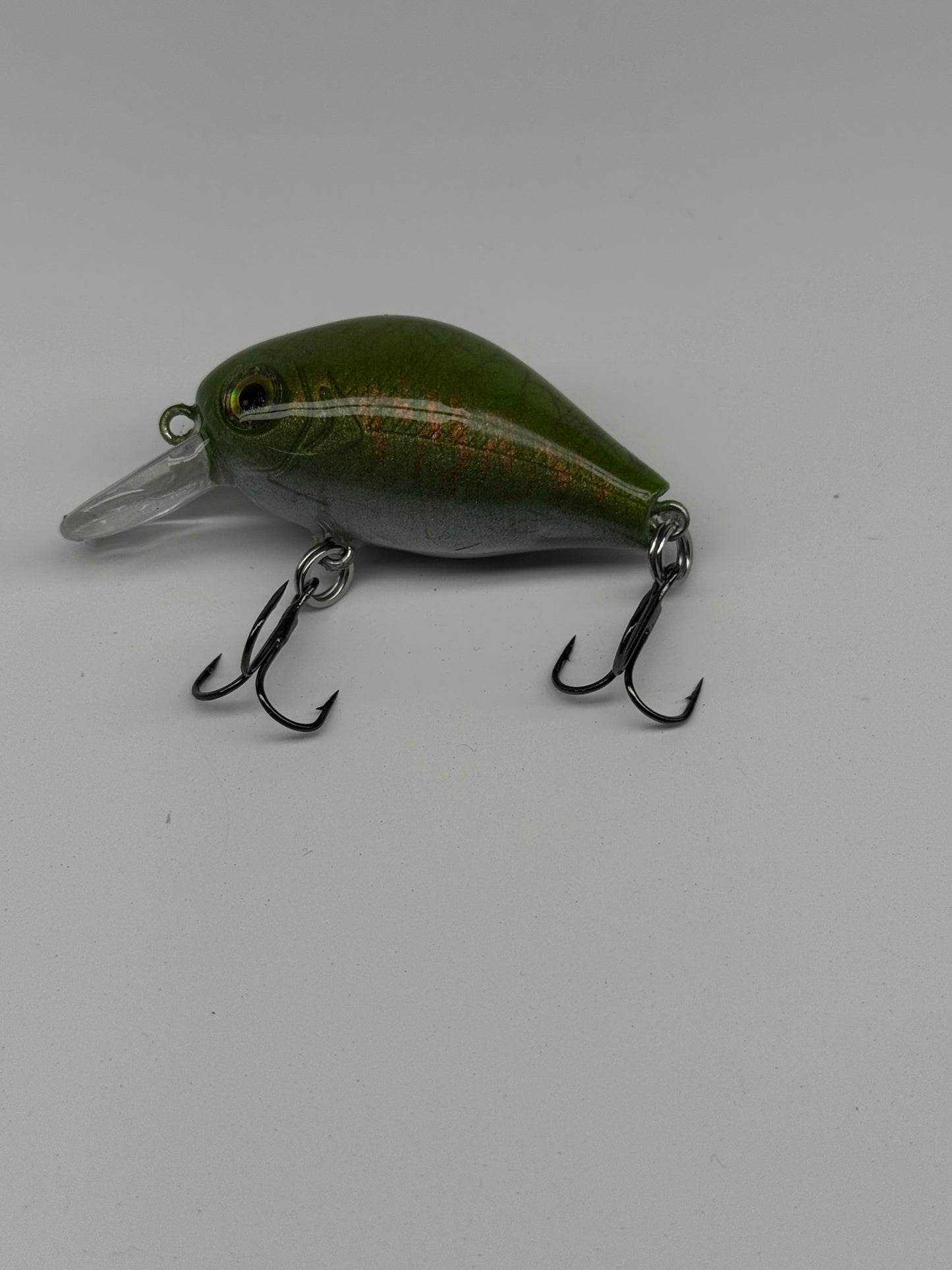 Bizzy Bug