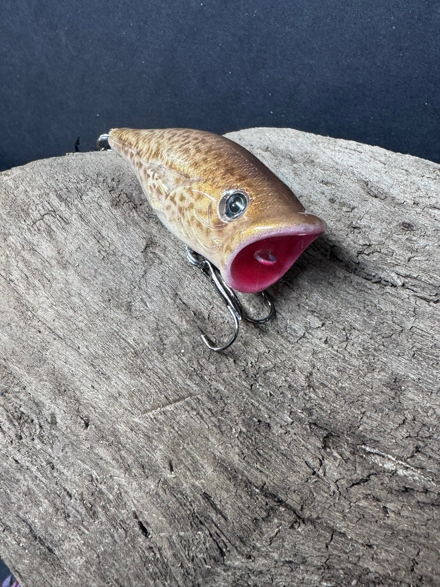 2.5Inch Top Water Popper