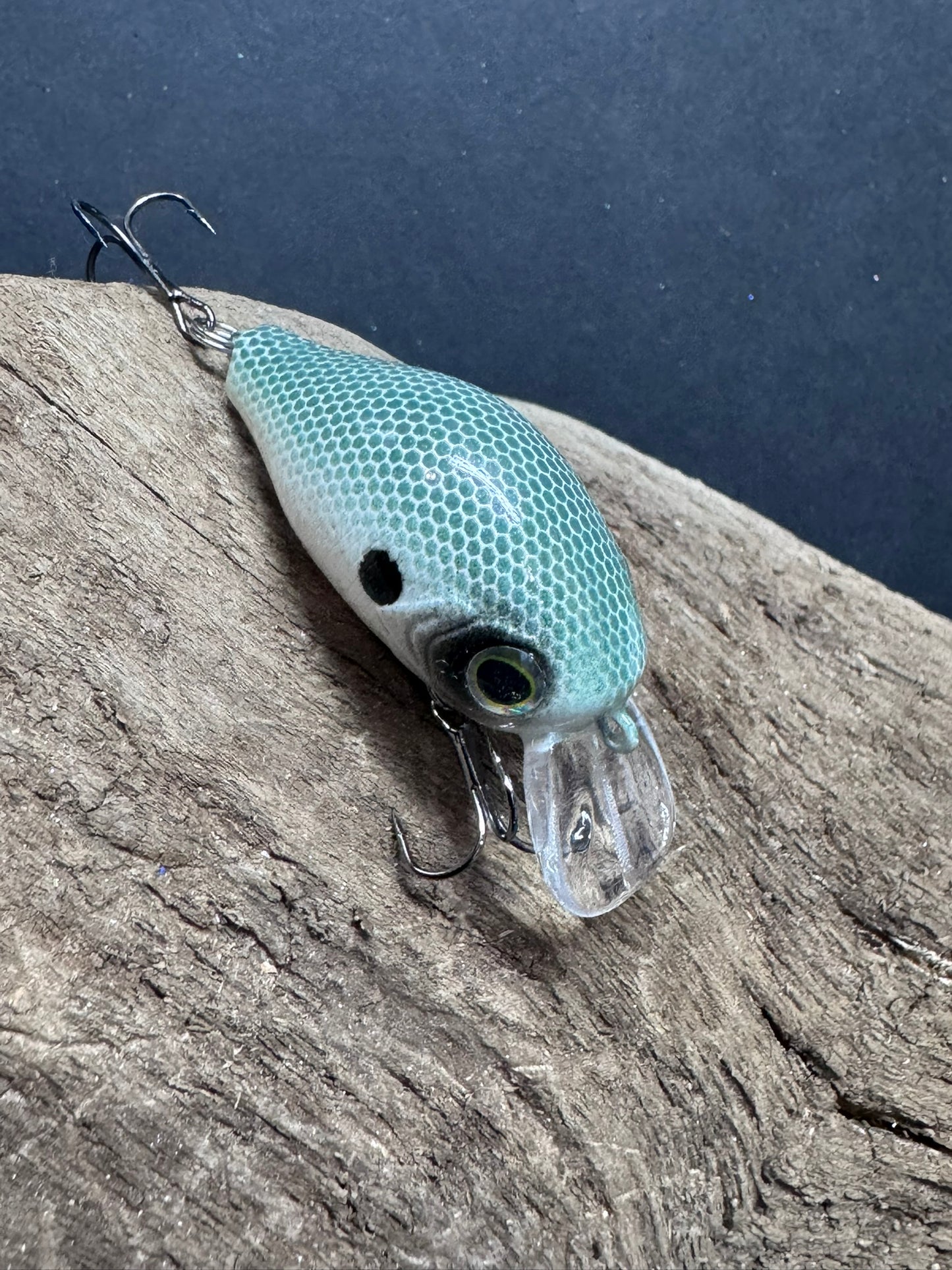 2 inch Crank Bait 2-5 Feet Dive