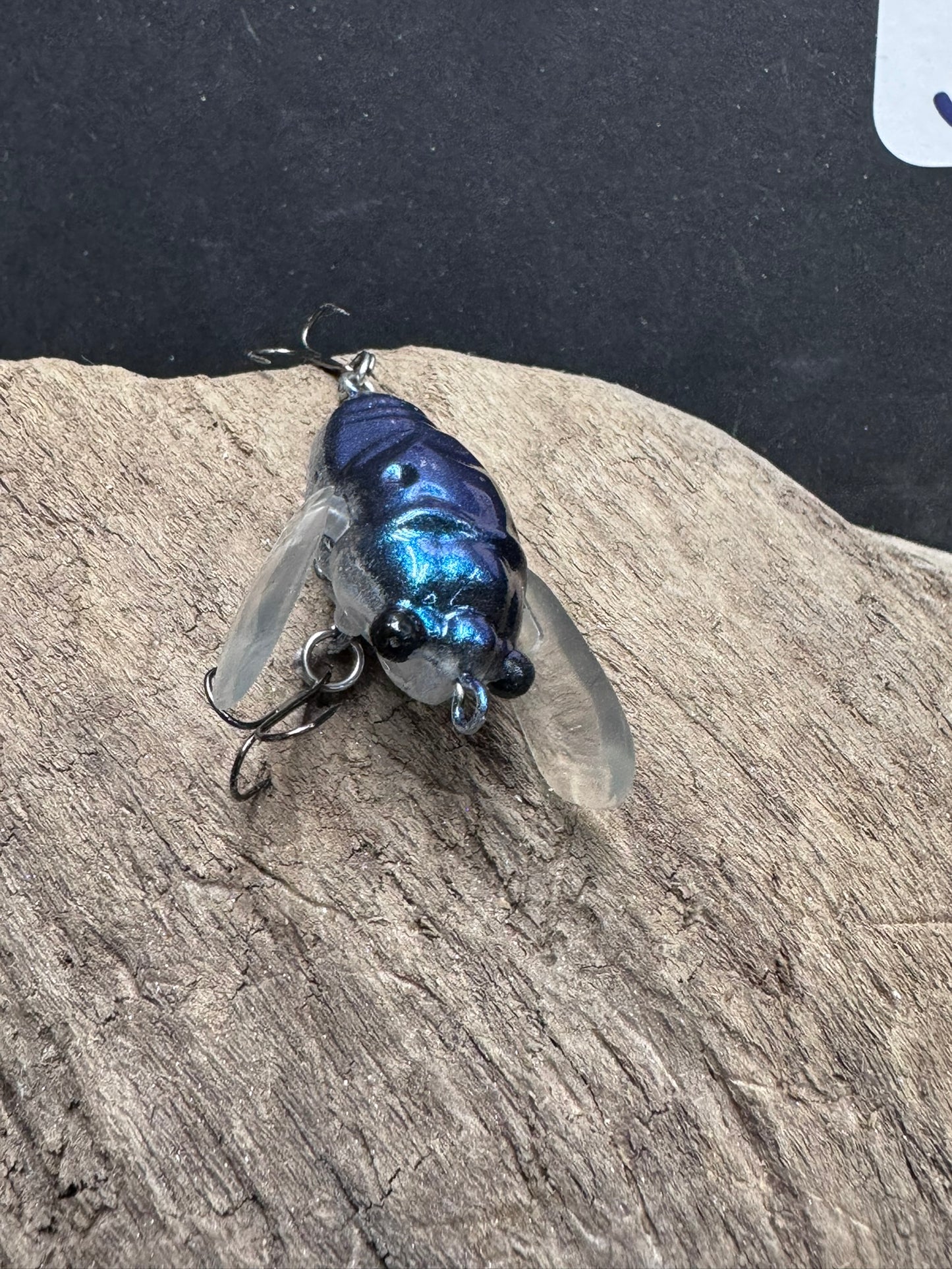 Cicada Lure