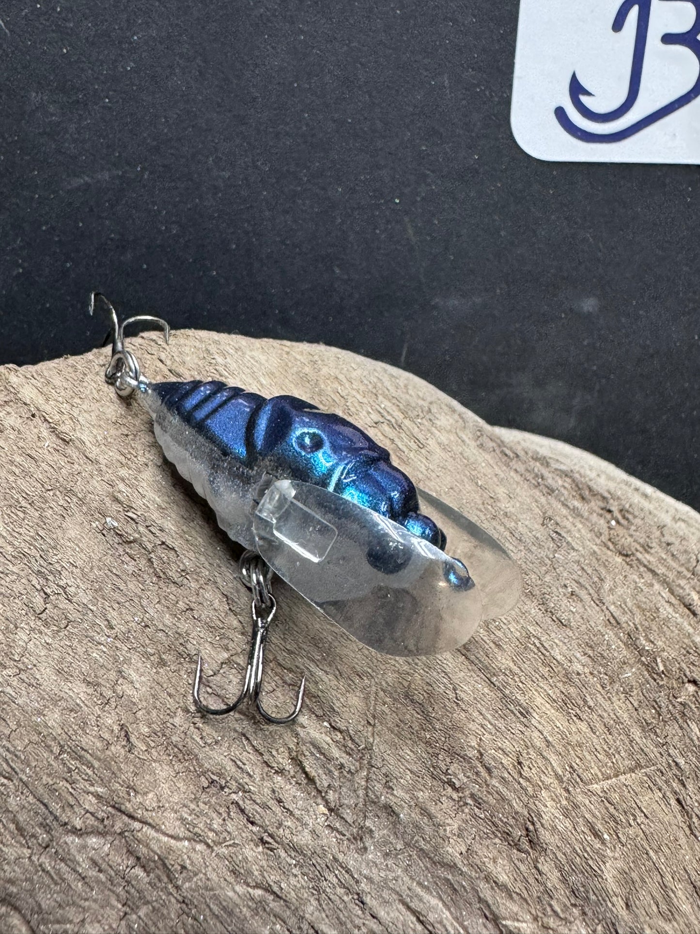 Cicada Lure