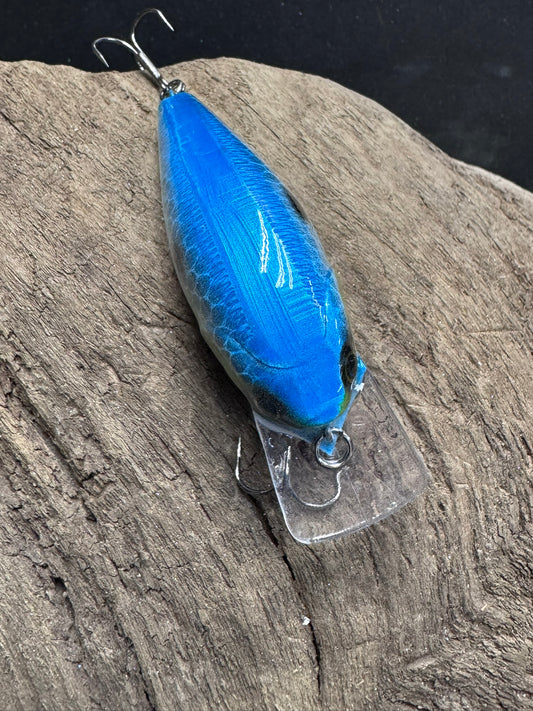 1.5 Square Bill Crank Bait Sexy Shad