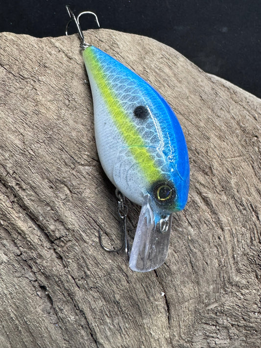 1.5 Square Bill Crank Bait Sexy Shad