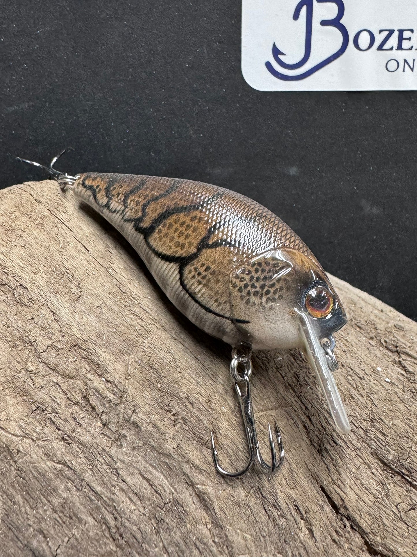 1.5 Square Bill Crawl