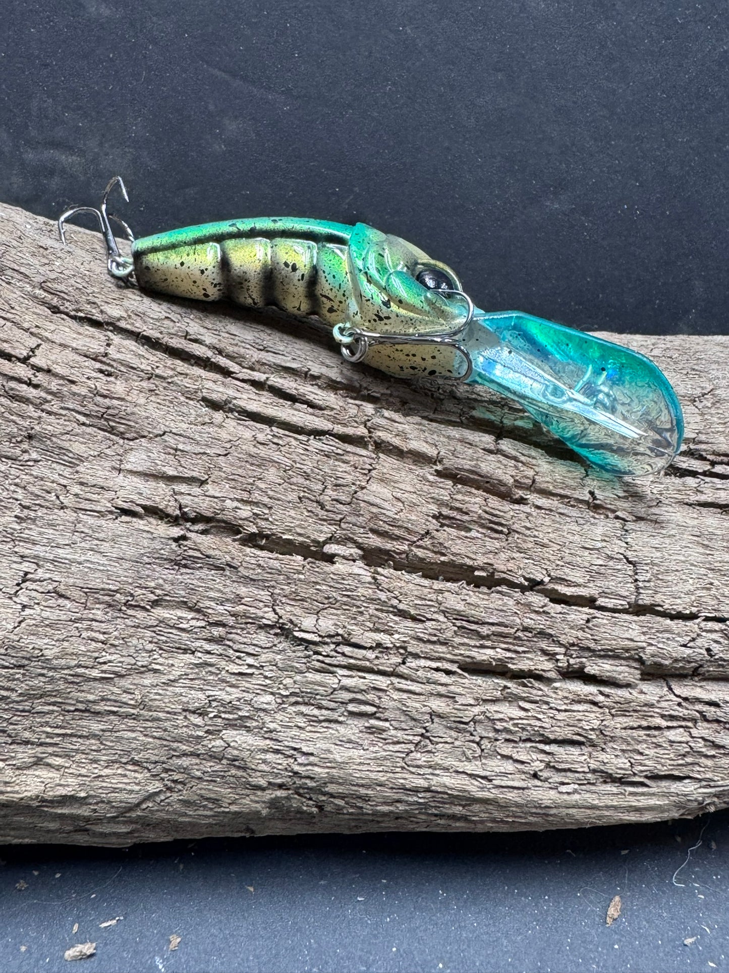 Mud Bug Lure