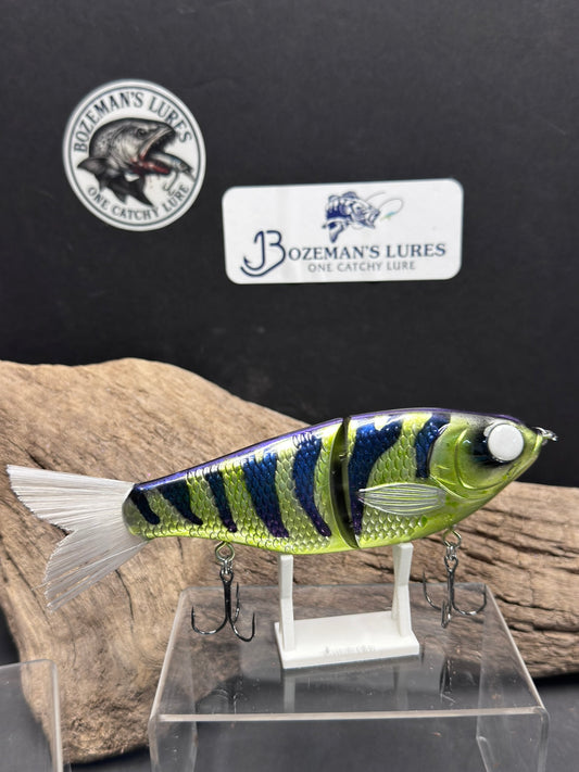 7 Inch Perch Glide Bait With A Twist