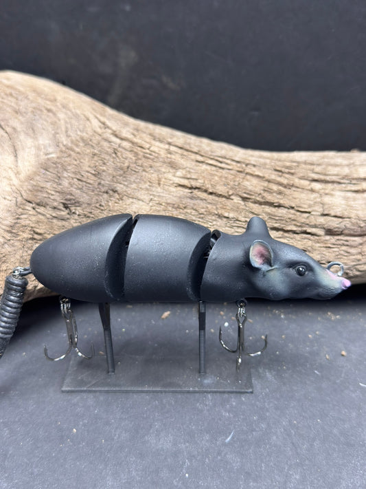 5 1/2 Inch Real Rat