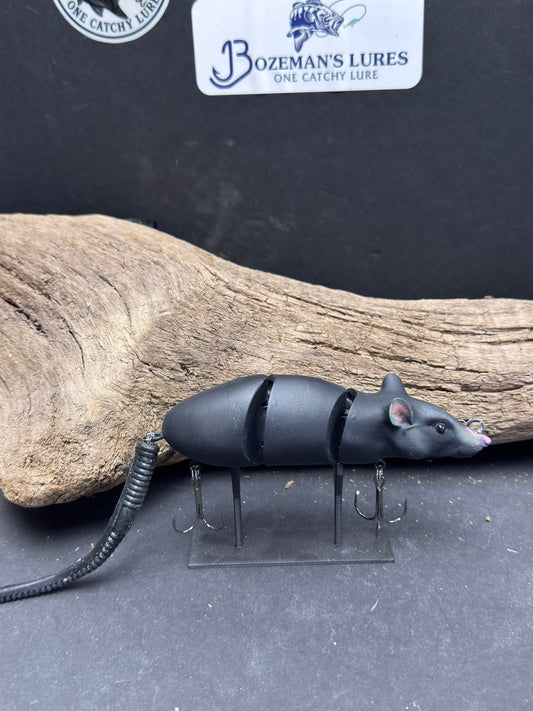 5 1/2 Inch Real Rat
