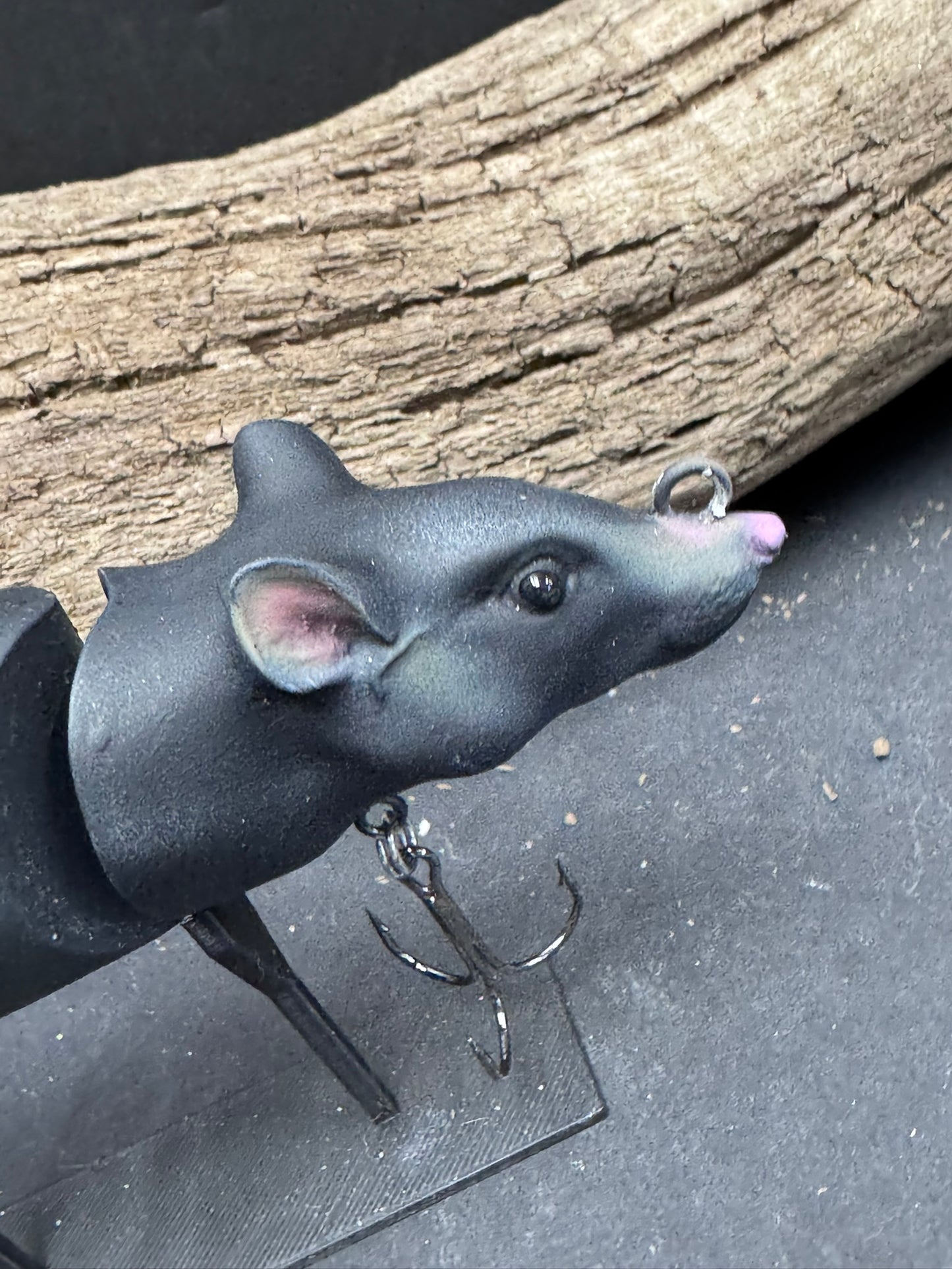 5 1/2 Inch Real Rat