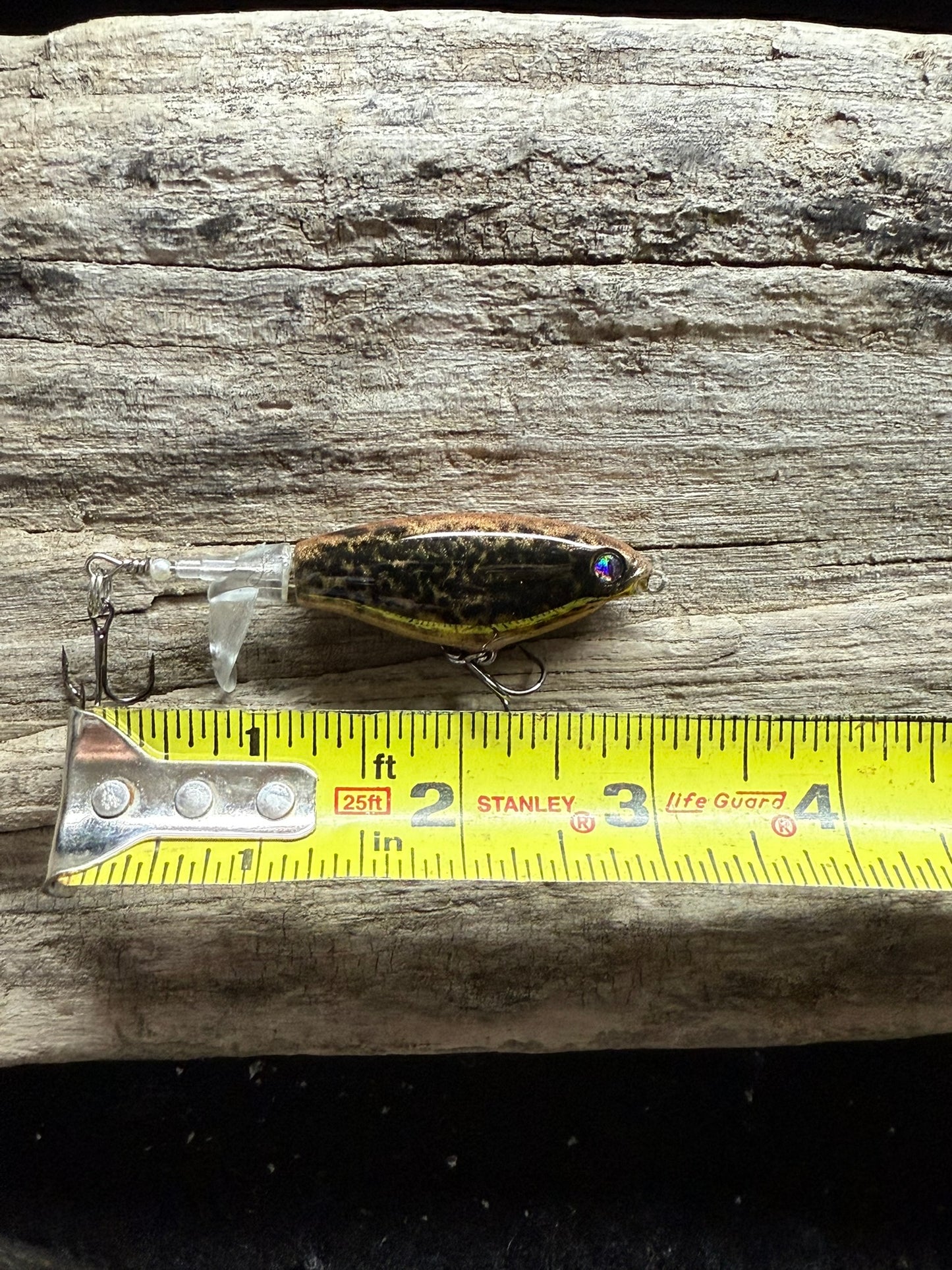 Speckled Splasher Top Water