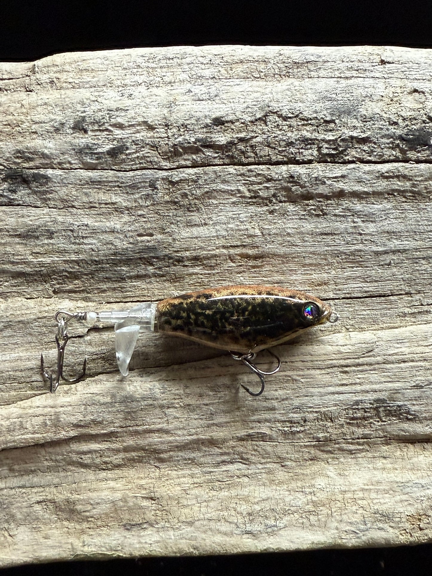 Speckled Splasher Top Water