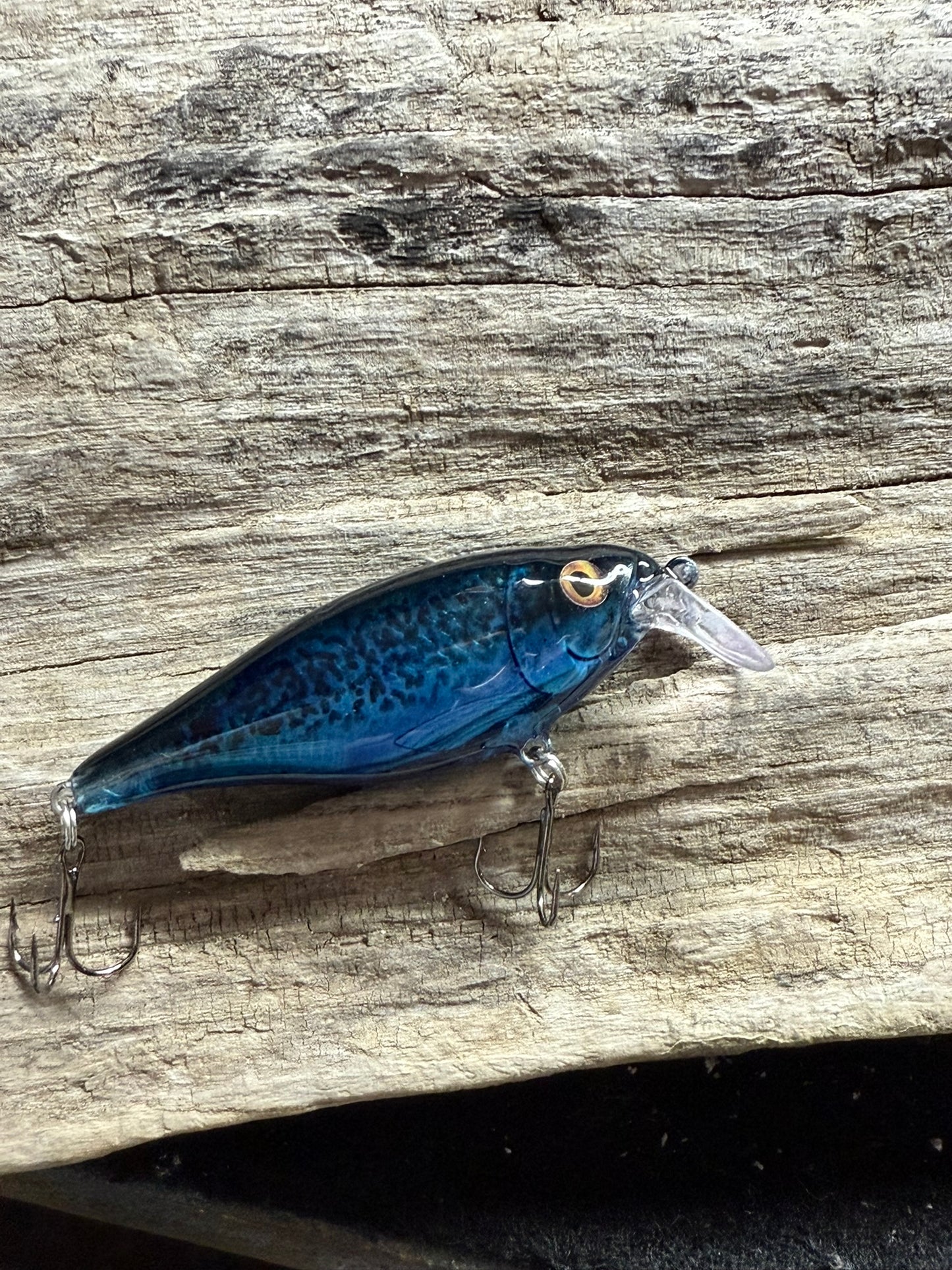 Blue Berry Shad Fast Action 4-8 Feet Dive