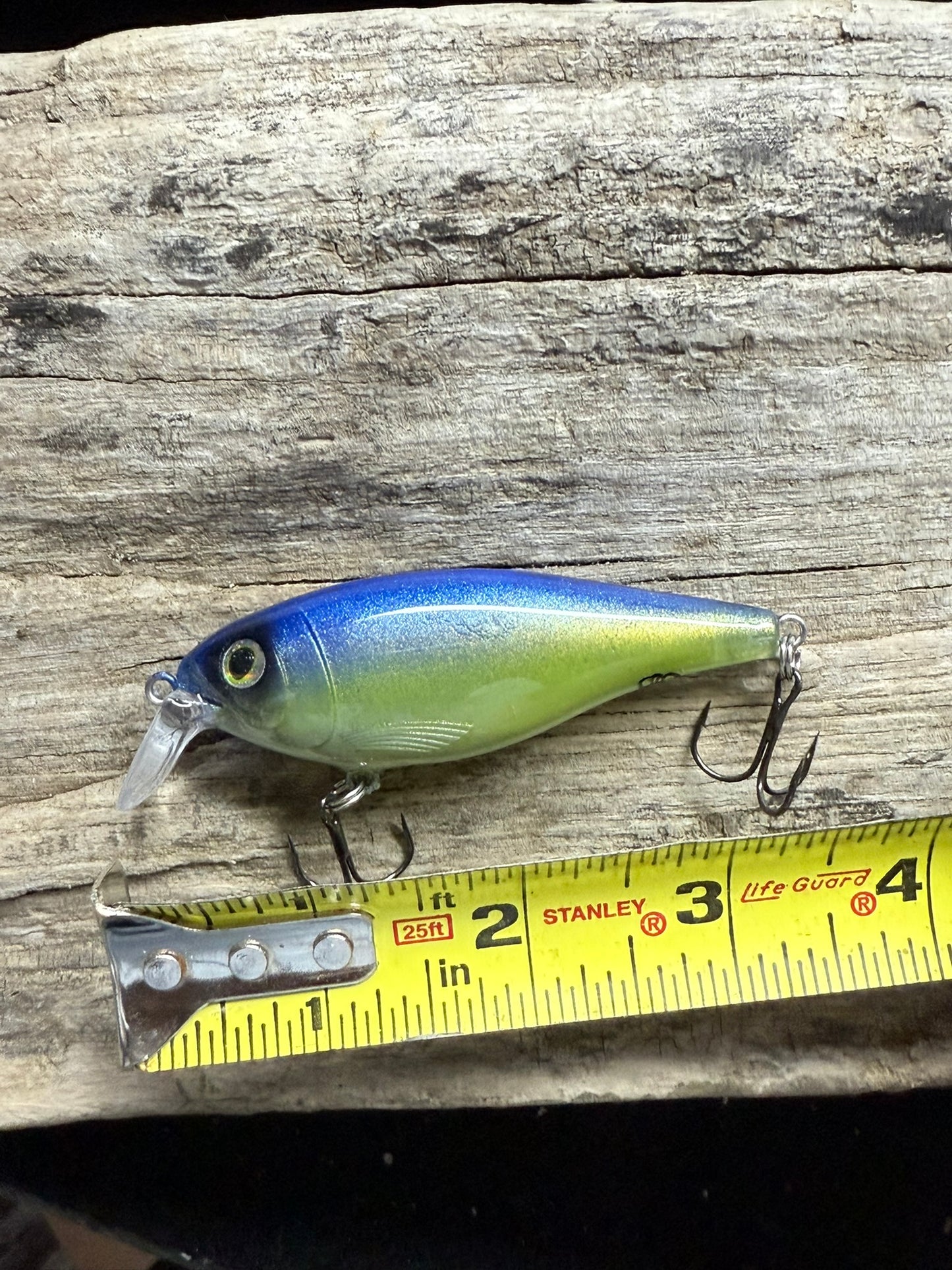 Blue Angle 4-8 Feet Dive