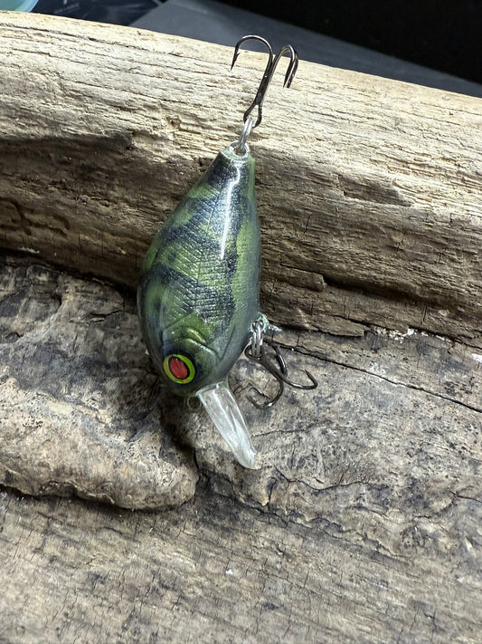 Bugging Bait 4-6 FT Dive